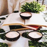 Coconut Shell Candle